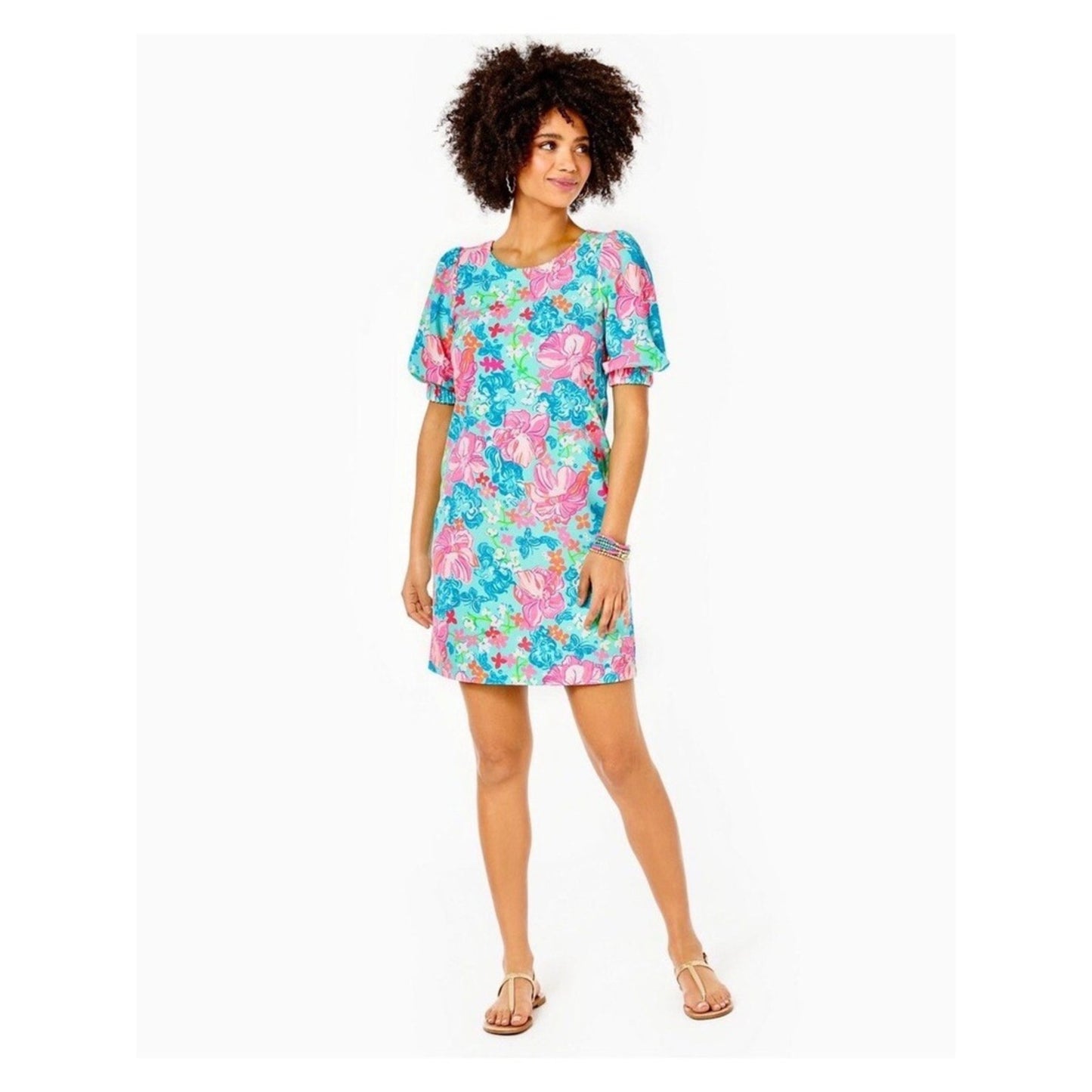 🆕 Lilly Pulitzer Cayce Surf Blue Luscious Lions Puff Sleeve Dress NWT SZ MED