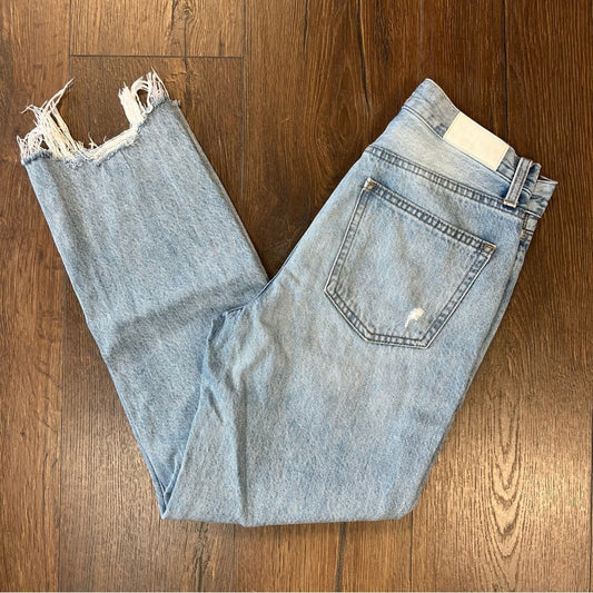 PISTOLA Charlie High Rise Straight in Dolores Park SZ 26/2