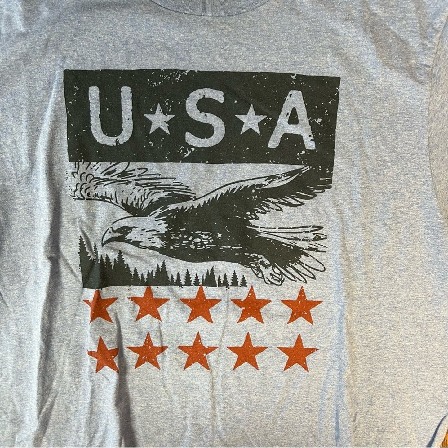 Men’s Sonoma blue USA tee SZ LG