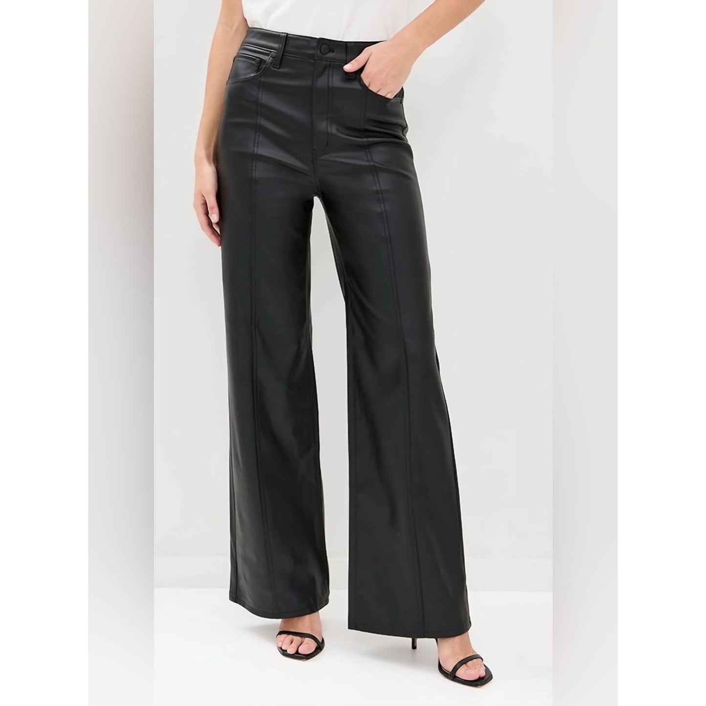 🆕 Daze Denim Faux Leather Pants NWT SZ 27