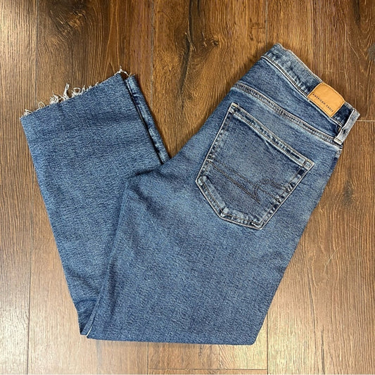 American Eagle 90’s Straight Leg Jean SZ 2 Short