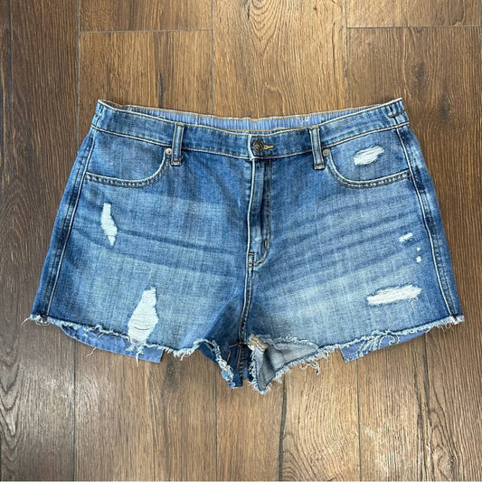 Aerie elastic band denim shorts SZ LG